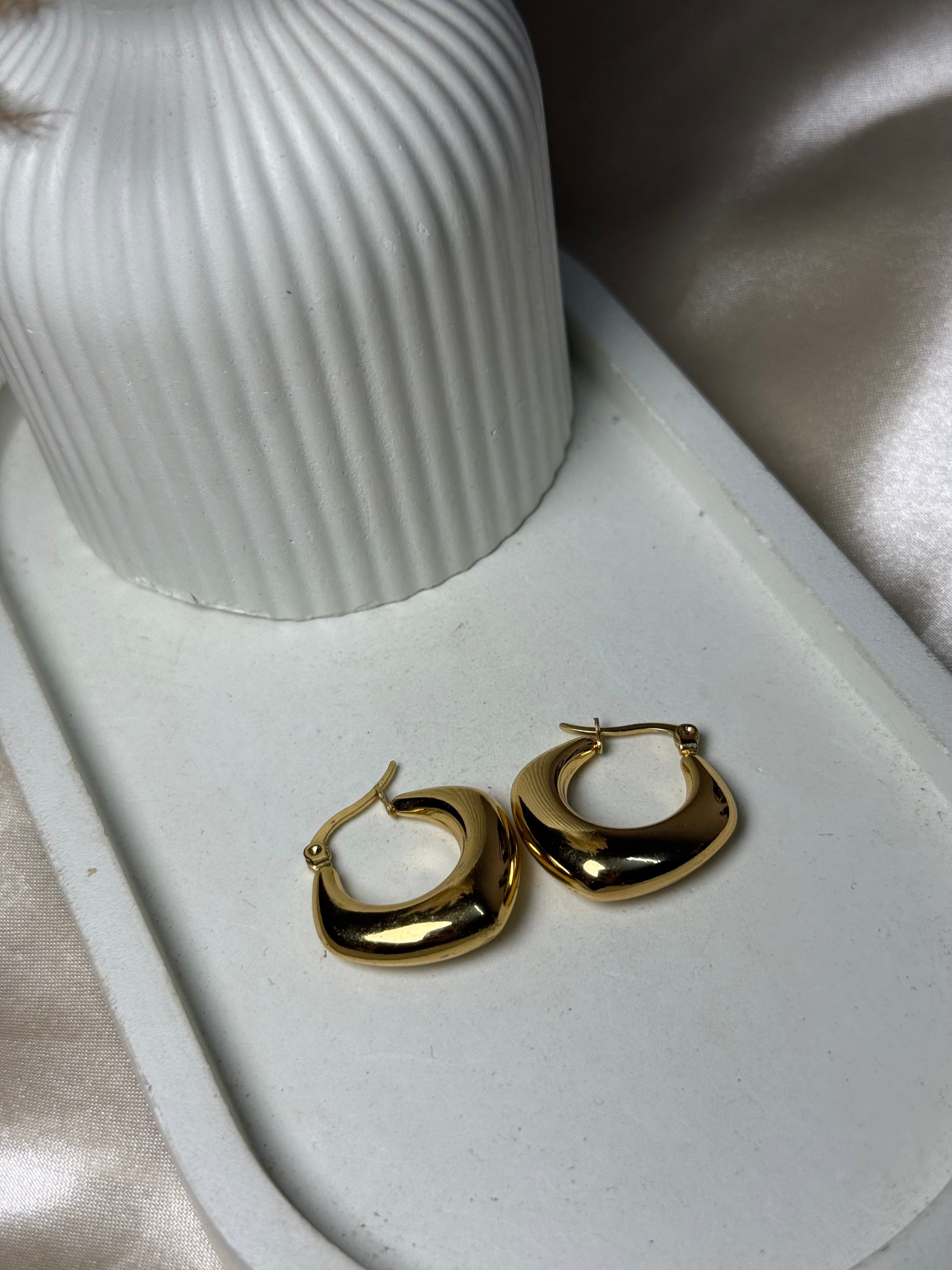 Neela anti tarnish hoop earrings everyday style
