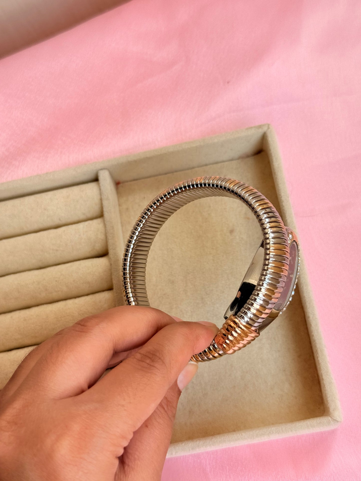 Dual tone serpent watch